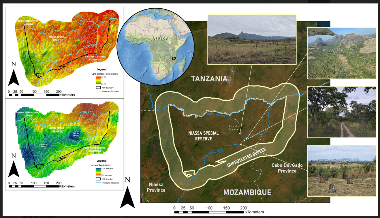 Land-Cover Dynamics in a Miombo Woodland Landscape