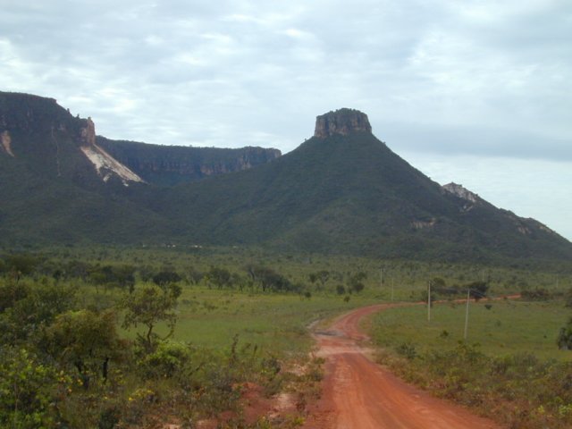 walker-landscape