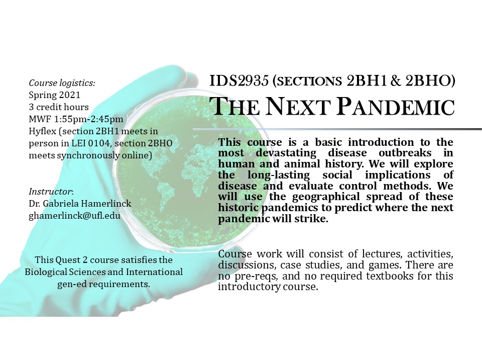 IDS2935 The Next Pandemic Geography