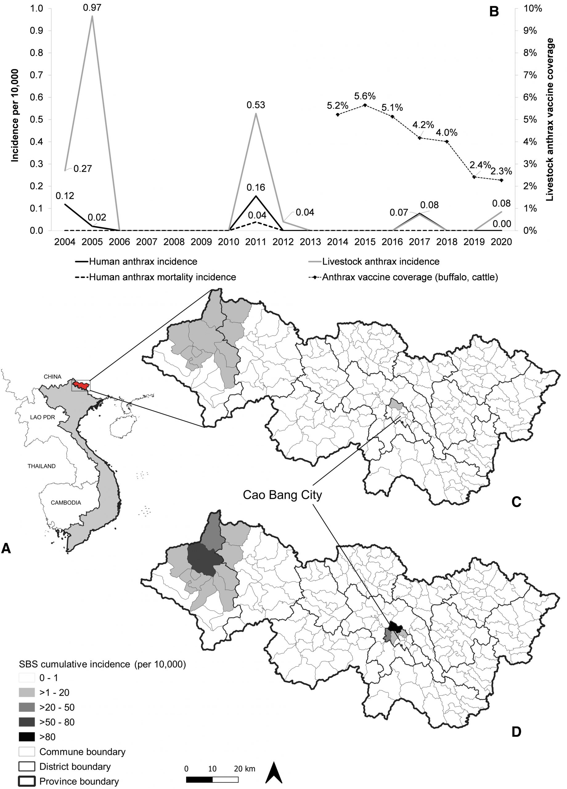 A line graph and map are shown. The line graph shows the provincial-level incidence of human and livestock anthrax, human anthrax fatalities, and anthrax vaccine coverage in buffalo and cattle. The maps show the location of Cat Bang province in Vietnam, as well as the spatial distribution of anthrax incidence in humans in the top map and cattle in the bottom map.