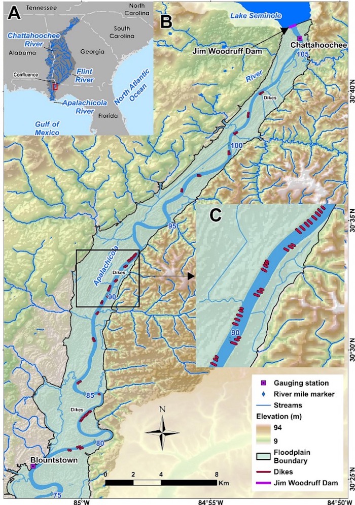 Thee maps are shown. The primary map shows the thirty miles of the upper Apalachicola River south of the Jim Woodruff Dam. The river and its streams are shown in blue. Red lines along the river are the dikes. The green, yellow, and brown shading indicate the elevation near the river from nine to ninety-four meters. The river's floodplain boundary is uniformly a light green-blue color with a black border. The inset map on the top left shows the southeast United States including Florida, Georgia, Alabama, and South Carolina. All the rivers in the Apalachicola, Chattahoochee, Flint river basin are shown. A red rectangle indicates the area where the primary map is located. The second inset map on the right is a zoomed in view of just three miles along the thirty mile stretch of river in the primary map. It provides a closer view of several dikes in that stretch of river. A black rectangle in the primary map indicate the location of this inset map.