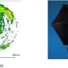 Geography Colloquium: Tropical Cyclone Structure and Rainfall