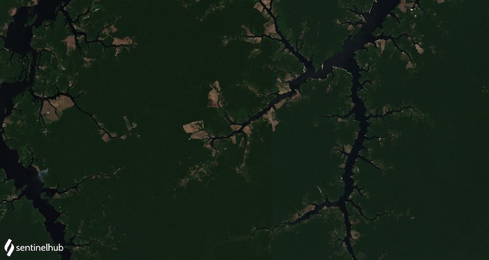 Natural satellite image of deforestation on the banks of Rio Jacu in the State of Amazonas, Brazil. Image by Sentinel-2 L2A satellite on 6 September 2020.