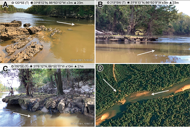 Four images of Conecuh River near Mancil Rock are shown. The images are described in the caption.