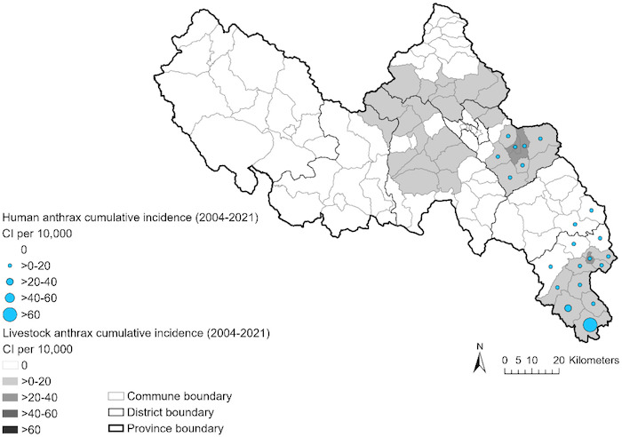 A map of Lai Chau province of Vietnam is shown along with its commune and district boundaries. Gray shading of the communes indicate livestock anthrax cumulative incidence of per ten thousand animals from 2004 to 2021. The lightest two shades are for zero to twenty and twenty to forty cumulative incidence per ten thousand animals. Blue circles inside the communes indicate human anthrax cumulative incidence of per ten thousand animals from 2004 to 2021. The size of the circles indicate the cumulative incidence. The legend shows four sizes, which indicate cumulative incidences of zero to twenty, twenty to forty, forty to sixty, and over sixty per ten thousand humans. 