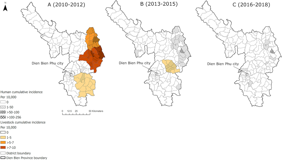 Three maps of Dien Bien province in northwestern Vietnam showing data for 2010 to 2012, then 2013 to 2015, then 2016 to 2018. In all maps, Dien Bien Phu city is labelled and pointed to with a black line. A legend on the bottom left applies to all maps. Hatched areas represent human cumulative incidence of anthrax in each district. Colors from yellow to brown represent higher livestock cumulative incidence of anthrax in each district. Together, maps show the spatial overlap of the data.