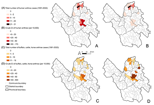 Spatial clusters of human and livestock anthrax define high-risk areas requiring intervention in Lao Cai Province, Vietnam 1991-2022