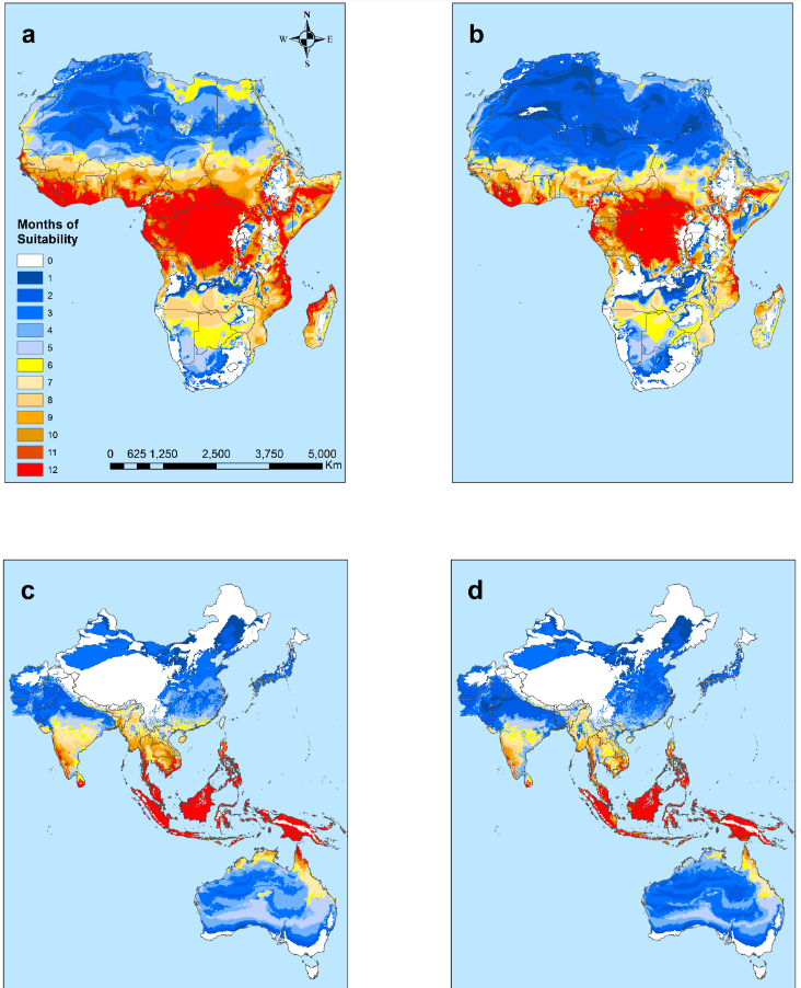 Maps of Africa and Asia show how many months an area is suitable for two strains of malaria transmission by mosquito species. Warmer colors are a greater number of months.