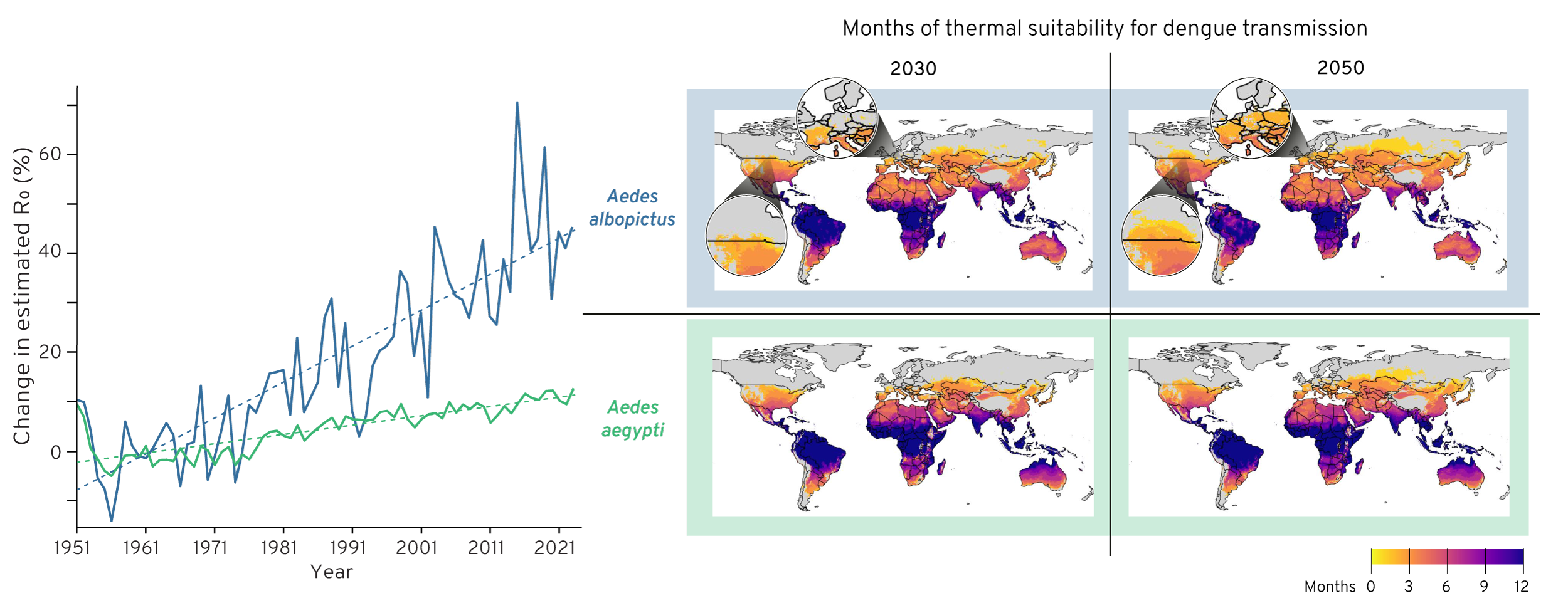 Ten new insights in Climate Science 2025