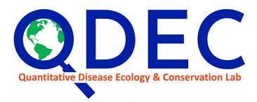 QDEC Lab logo